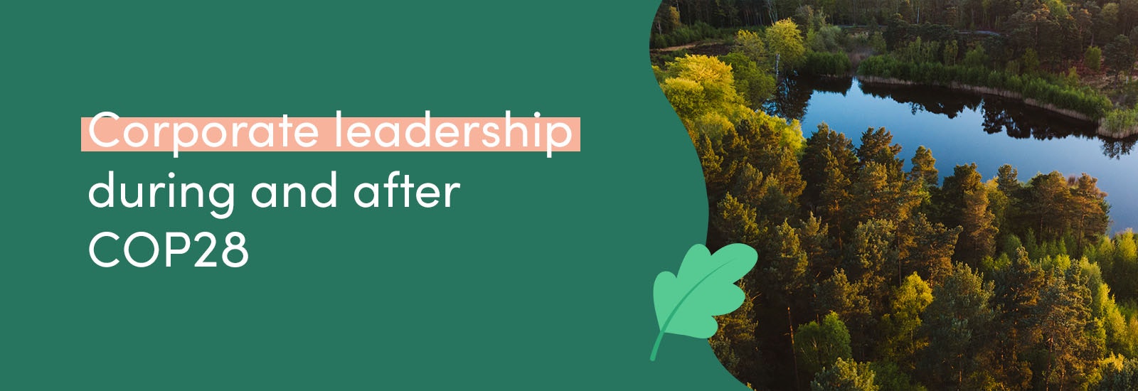 Corporate leadership during and after COP28