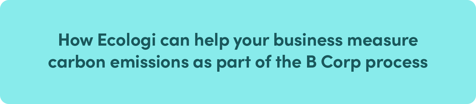 How Ecologi can help your business measure carbon emissions as part of the B Corp process
