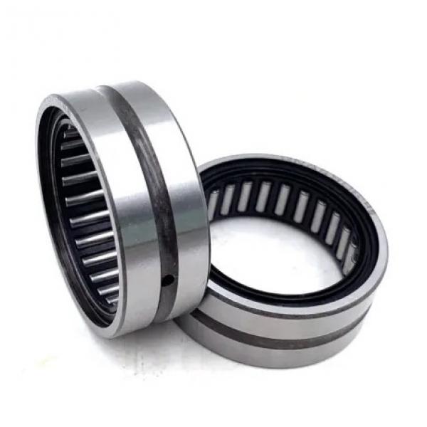 FAG NU313-E-M1-C5-S1  Cylindrical Roller Bearings #1 image